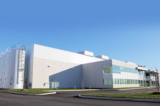 互联网营销成大势所趋，北京林克曼乘势而行引领滁州互联网销售新潮流